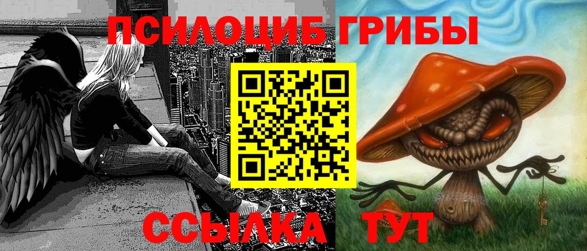 Псилоцибиновые грибы Psilocybine cubensis Артём