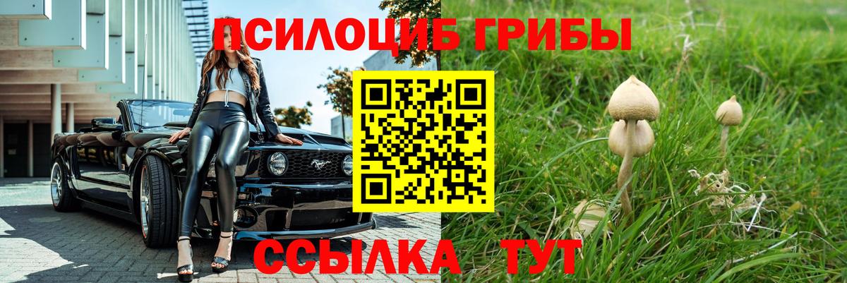 Артём  Псилоцибиновые грибы прущие грибы  купить наркотики сайты  Вход с VPN 